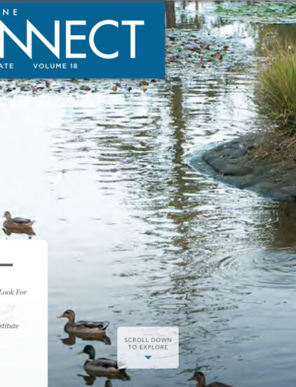 Volume 18 - Spring 2013