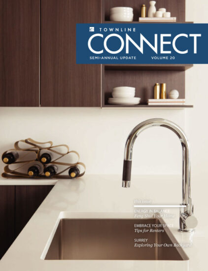 Volume 20 - Winter 2014